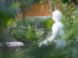 Phật dạy nên hướng nội để bình an