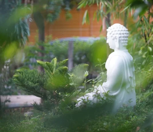 Phật dạy nên hướng nội để bình an