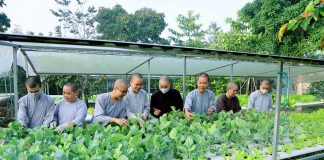 HÌNH ẢNH NI SINH HVPGVN TẠI TP. HCM THU HOẠCH RAU THỦY CANH TẠI CHÙA THANH TÂM