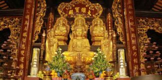 Phật dạy nên hướng nội để bình an