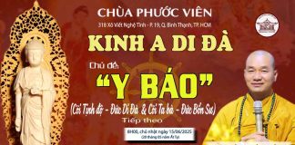 TP. HCM: KINH A DI ĐÀ DO ĐĐ. THÍCH THIỆN XUÂN THUYẾT GIẢNG TẠI CHÙA PHƯỚC VIÊN