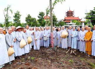 NI SINH HỌC VIỆN PGVN TẠI TP. HCM THAM GIA BẢO VỀ MÔI TRƯỜNG SAU LỄ PHÁT ĐỘNG NGÀY MÔI TRƯỜNG THẾ GIỚI