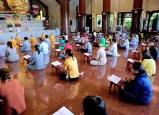 TP. HCM: CHÙA THANH TÂM TỔ CHỨC CÀI HOA HỒNG HƯỚNG VỀ VU LAN BÁO HIẾU