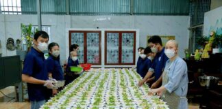 TP. HCM: HÀNH TRÌNH ĐONG ĐẦY YÊU THƯƠNG TẠI CHÙA PHỔ MINH